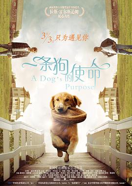 男人的天堂com